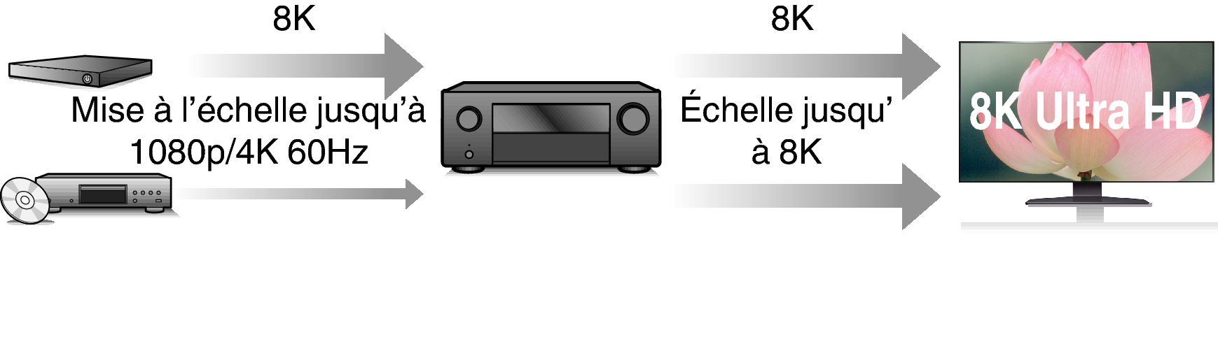 Feature2 X48